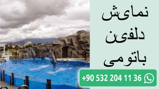 نمایش دلفین باتومی